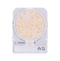 Compact Dry AQ | Heterotrophic Bacteria