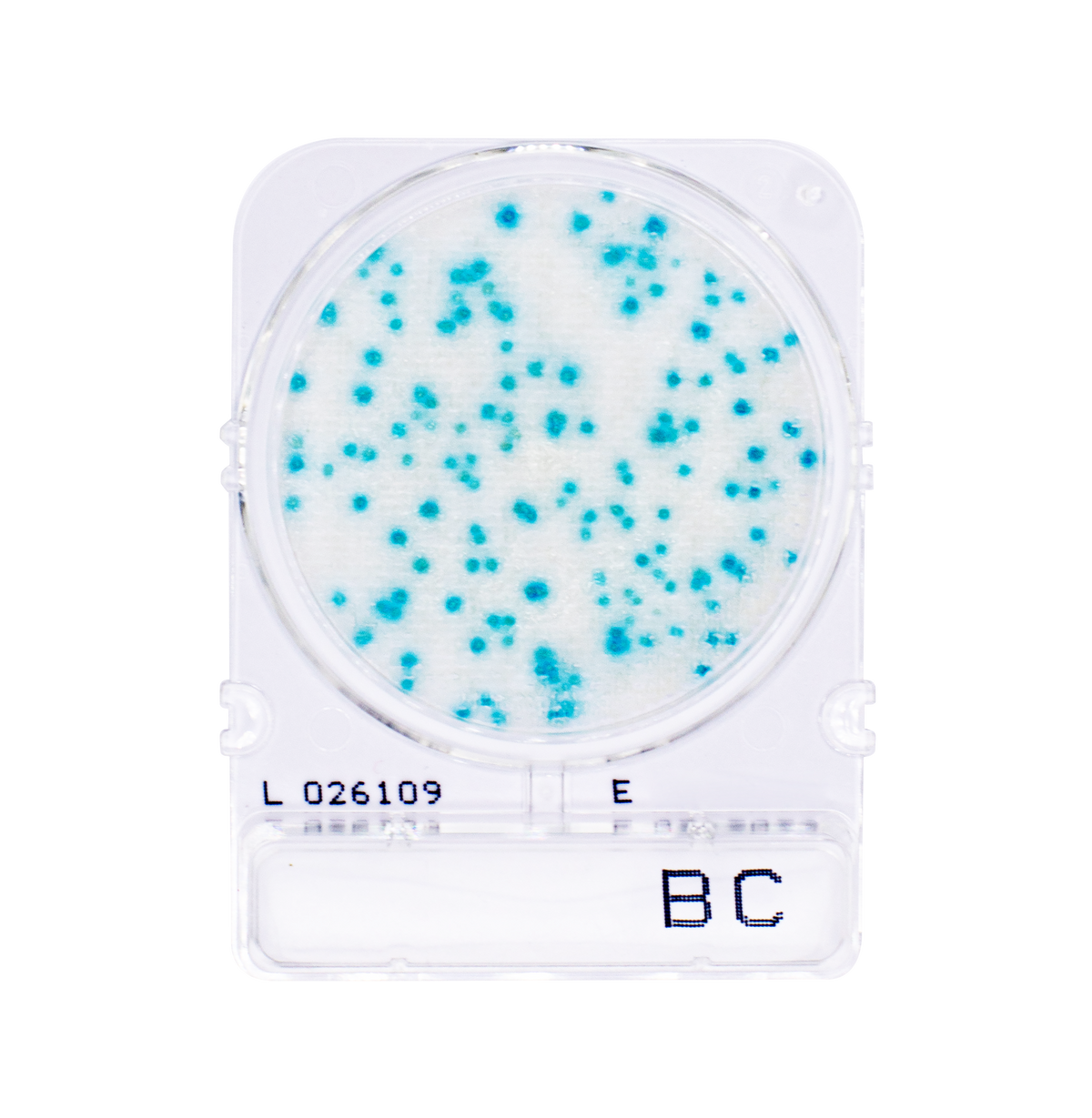 Compact Dry Disk Method Compact Dry – Advanced Food Diagnostics