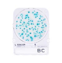 Compact Dry BC | Bacillus cereus