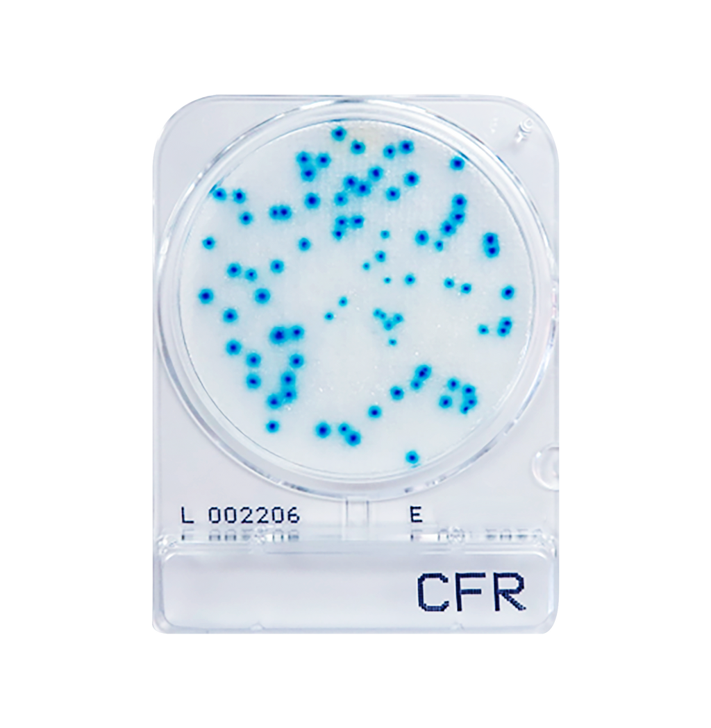 Compact Dry CFR | Coliform - Rapid