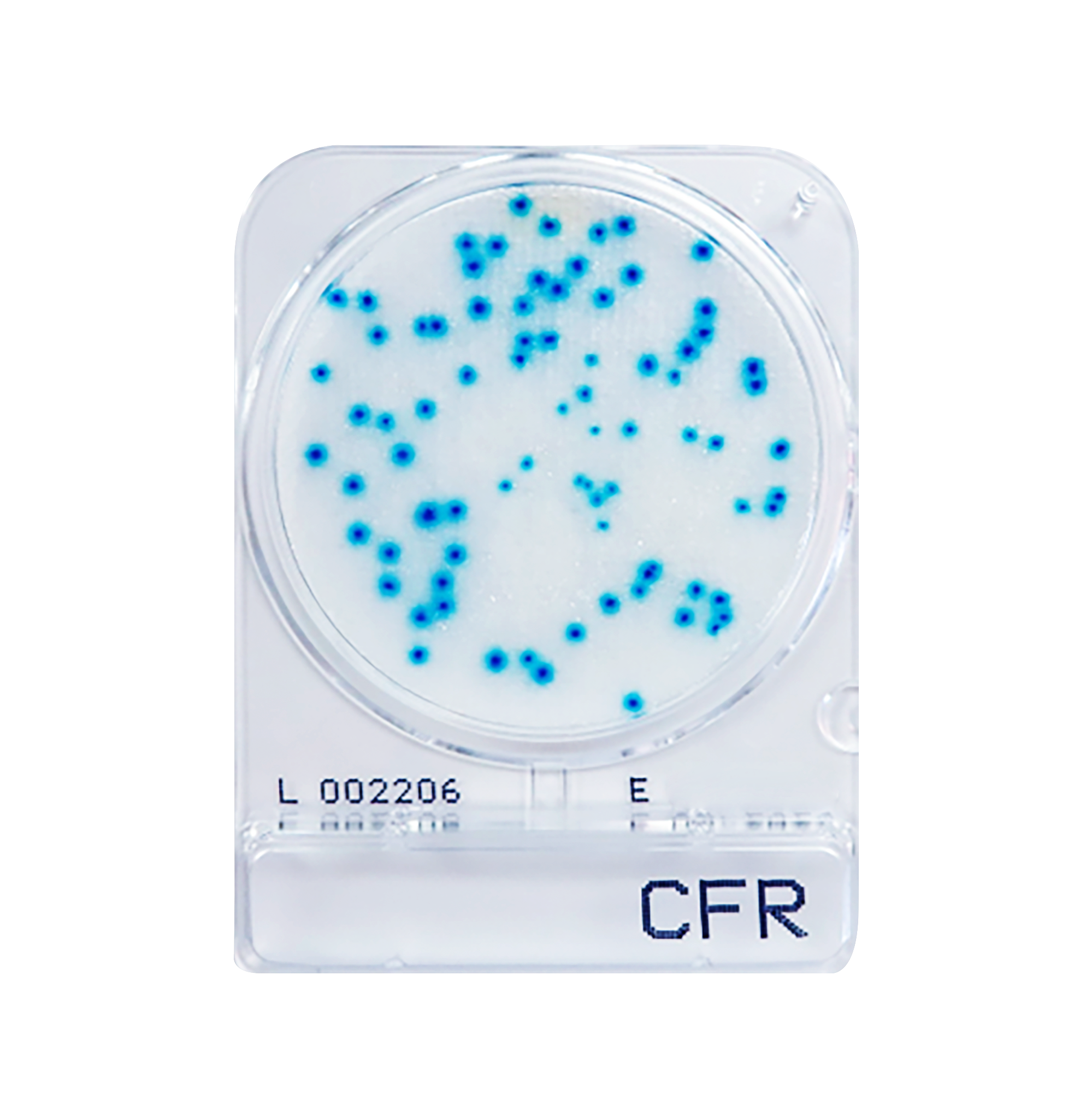 Compact Dry CFR | Coliform - Rapid