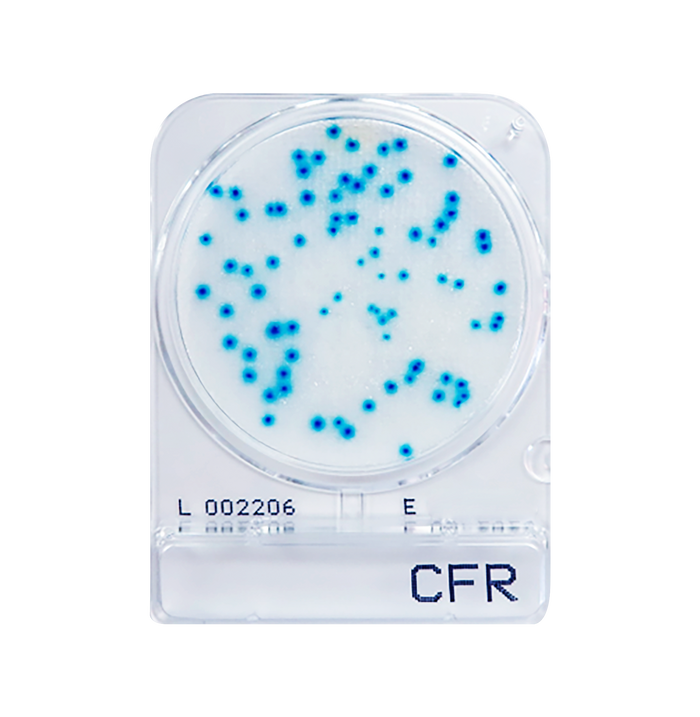 Compact Dry CFR | Coliform - Rapid