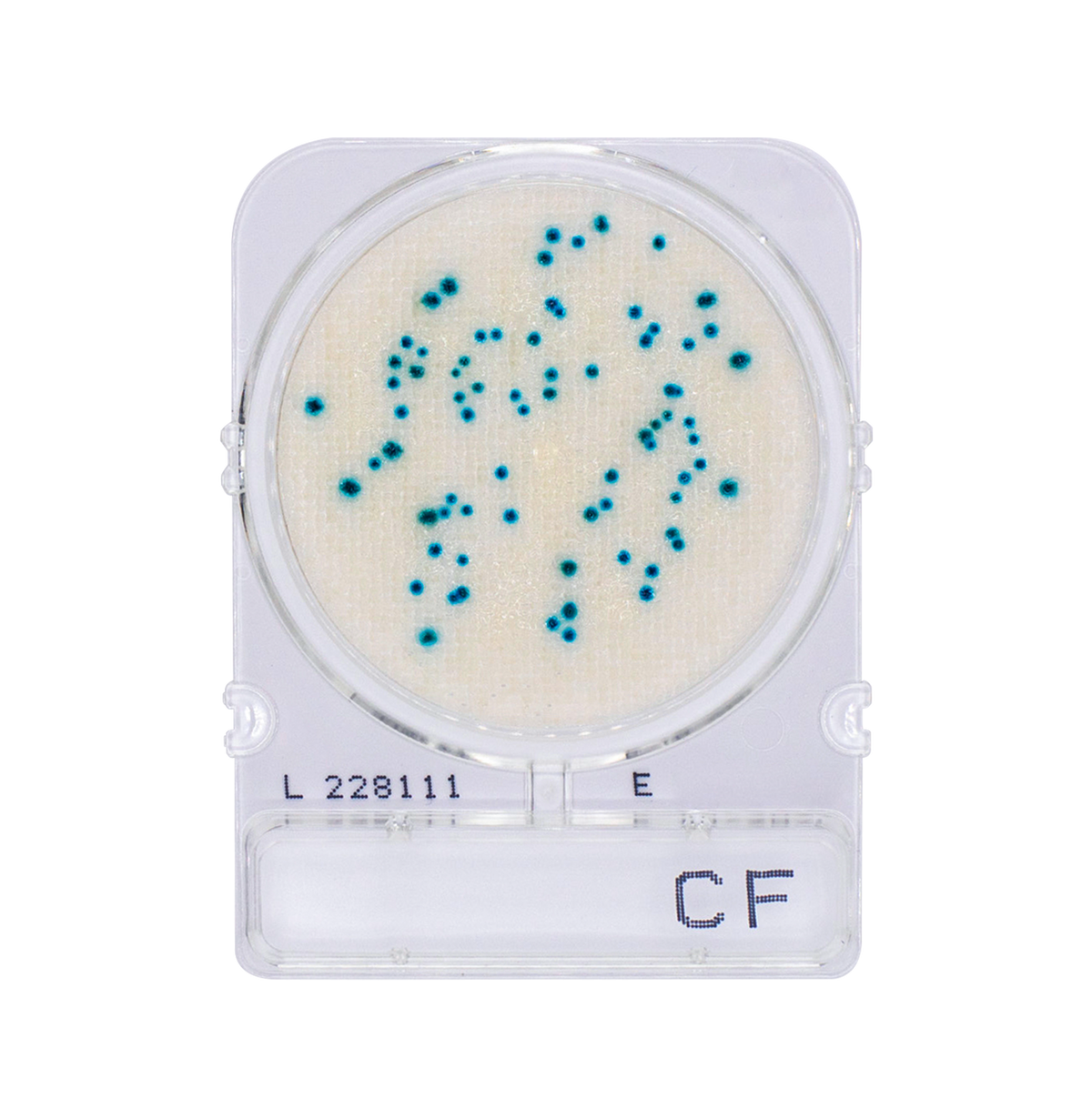 Compact Dry Disk Method Compact Dry – Advanced Food Diagnostics