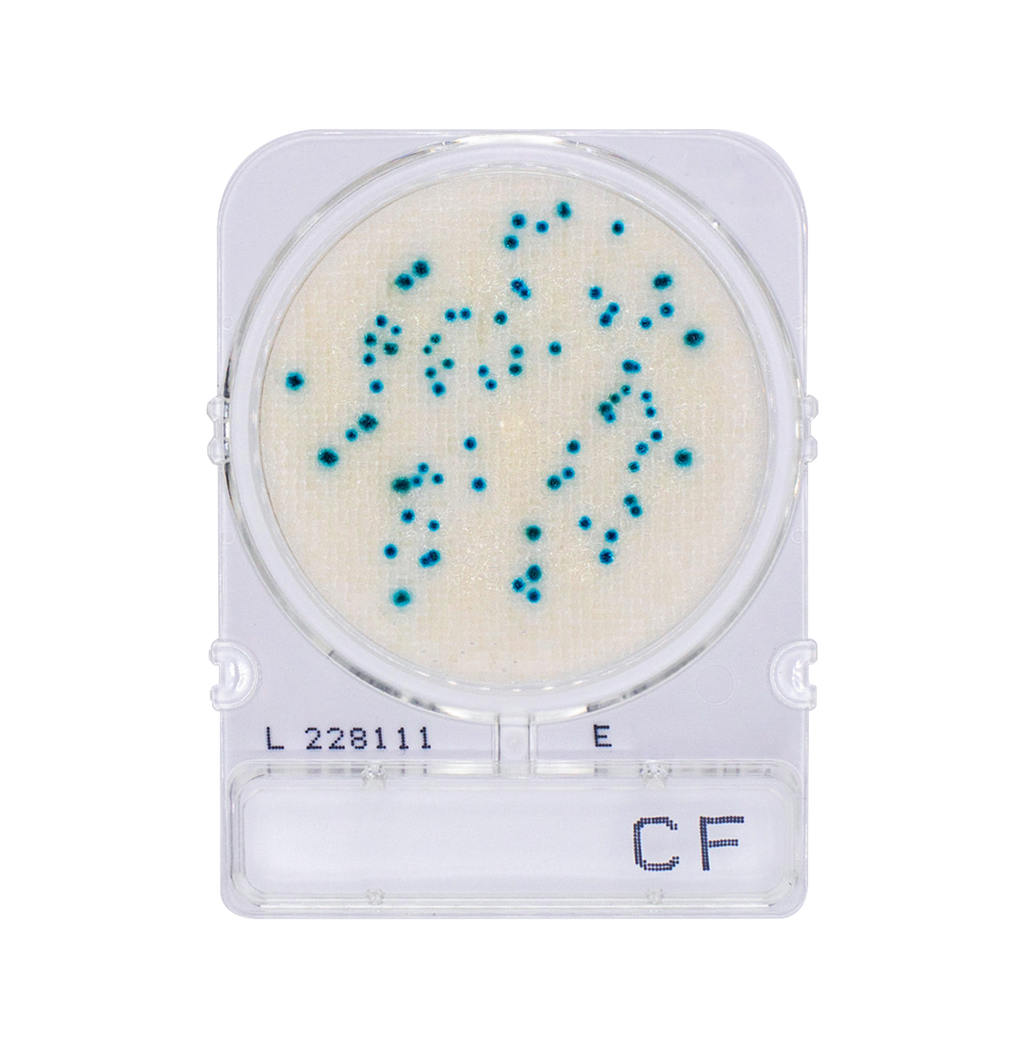 Compact Dry CF | Coliform
