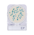 Compact Dry CF | Coliform