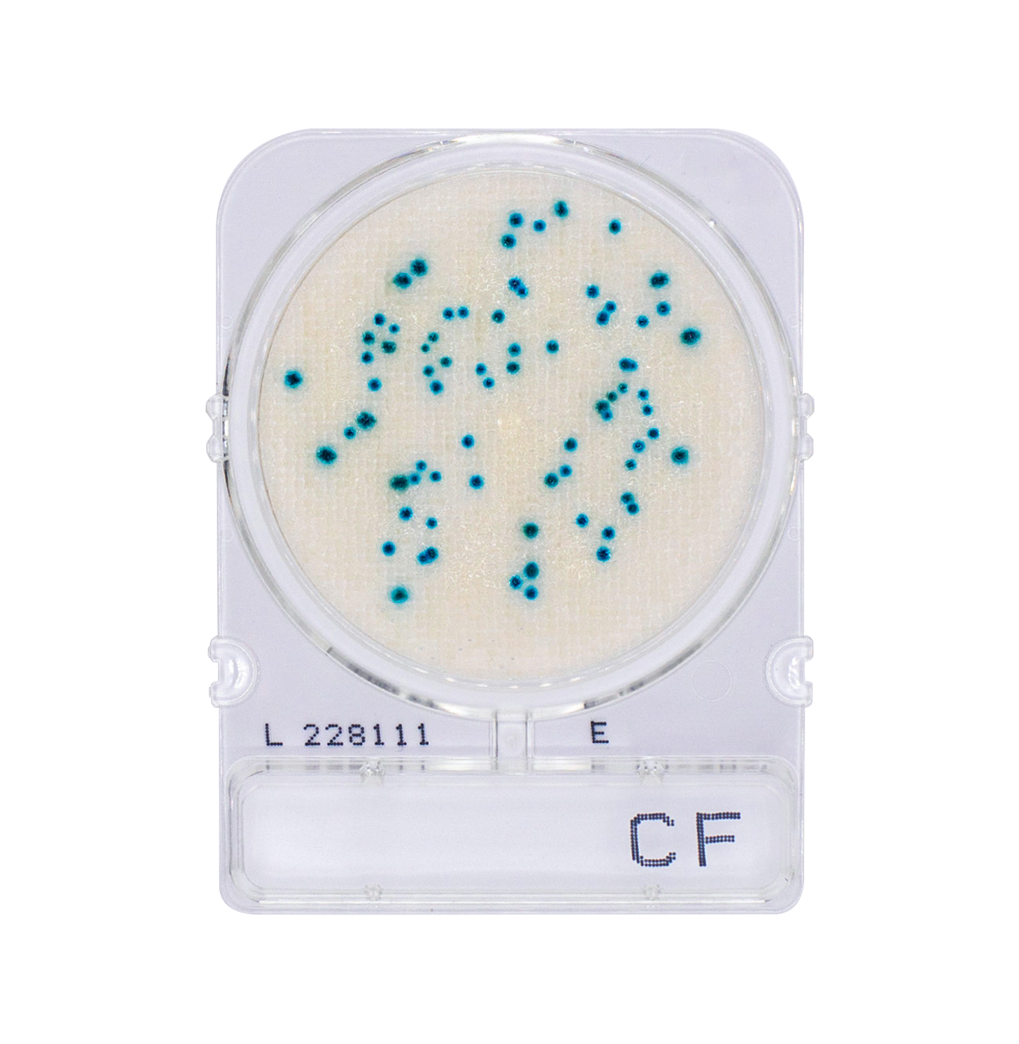 Compact Dry CF | Coliform