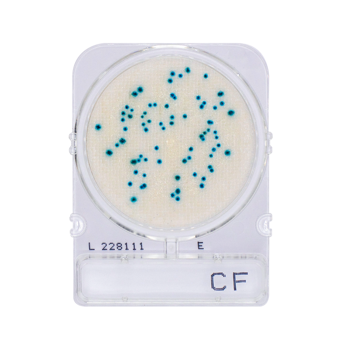 Compact Dry CF | Coliform
