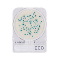 Compact Dry ECO | E. Coli