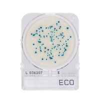 Compact Dry ECO | E. Coli
