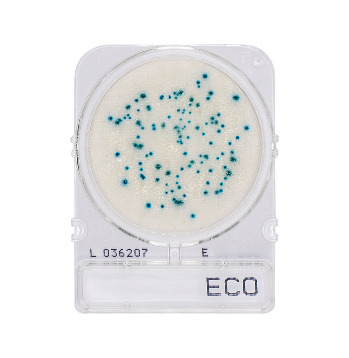Compact Dry ECO | E. Coli