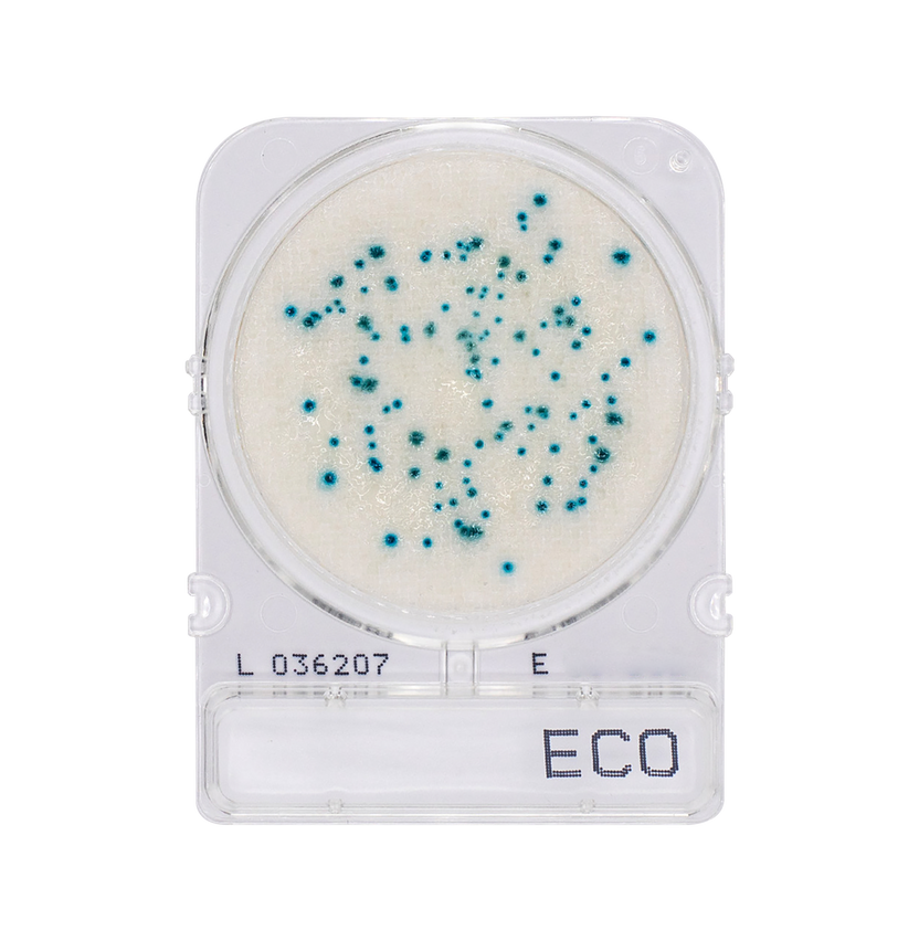 Compact Dry – Advanced Food Diagnostics