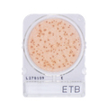 Compact Dry ETB | Enterobacteriaceae