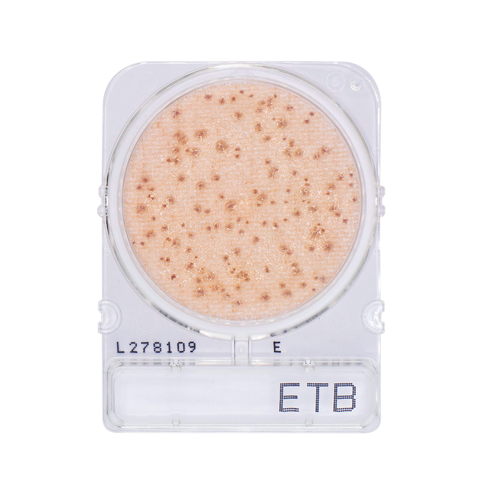 Compact Dry ETB | Enterobacteriaceae