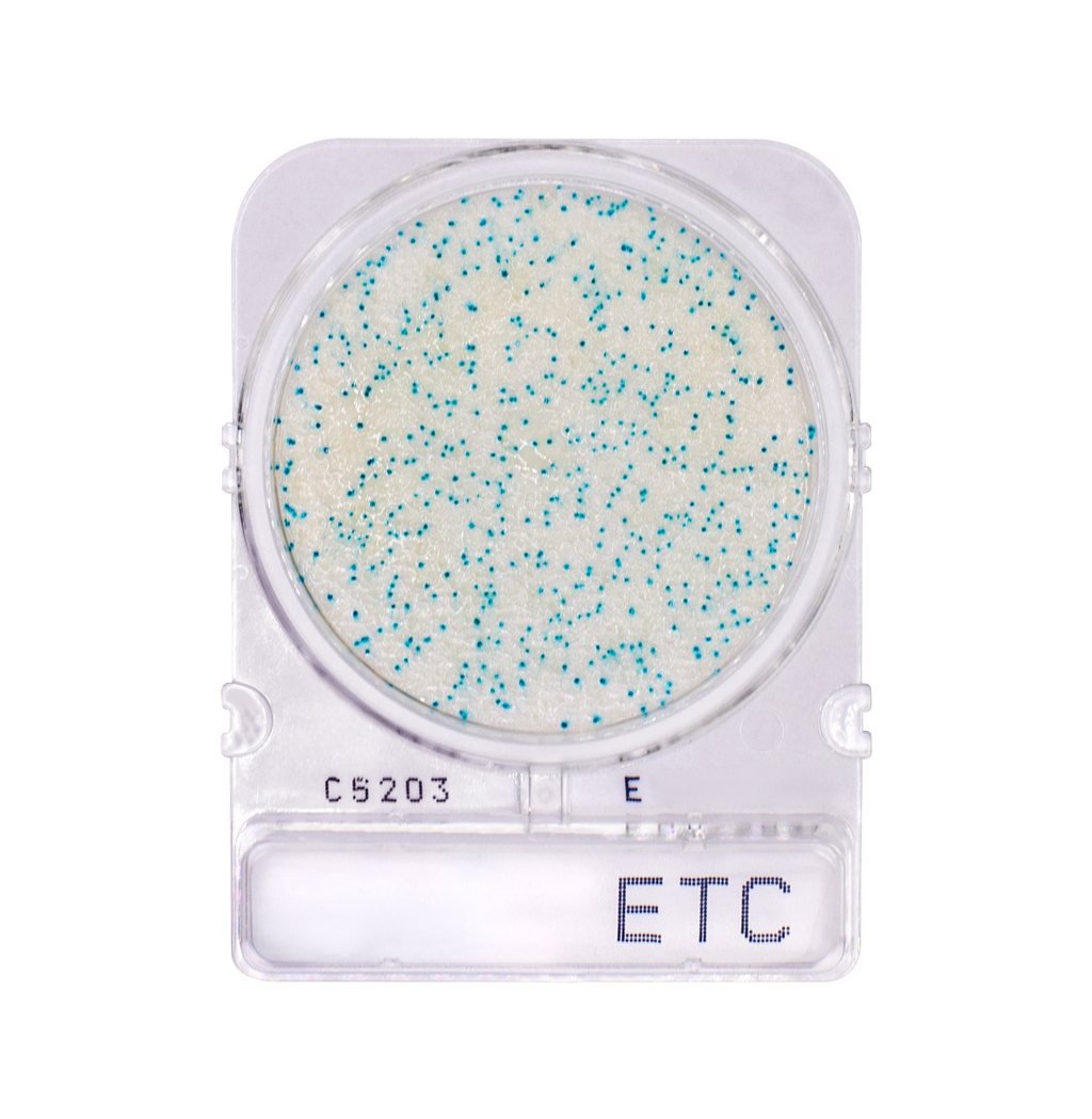 Compact Dry ETC | Enterococci