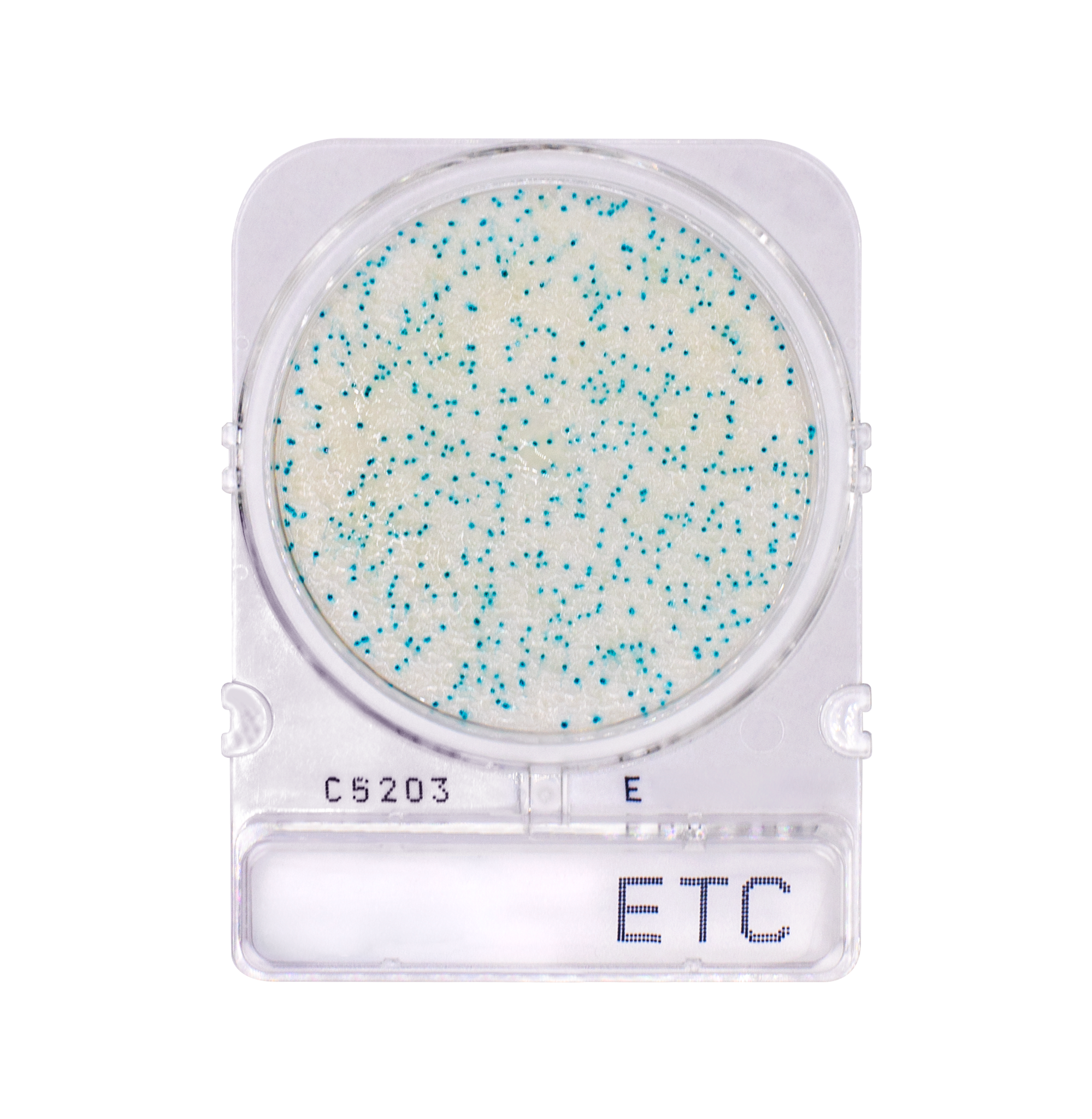 Compact Dry ETC | Enterococci
