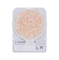 Compact Dry LM | Listeria monocytogenes