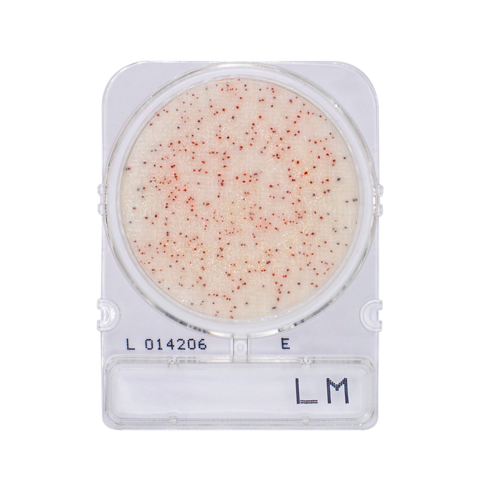 Compact Dry LM | Listeria monocytogenes