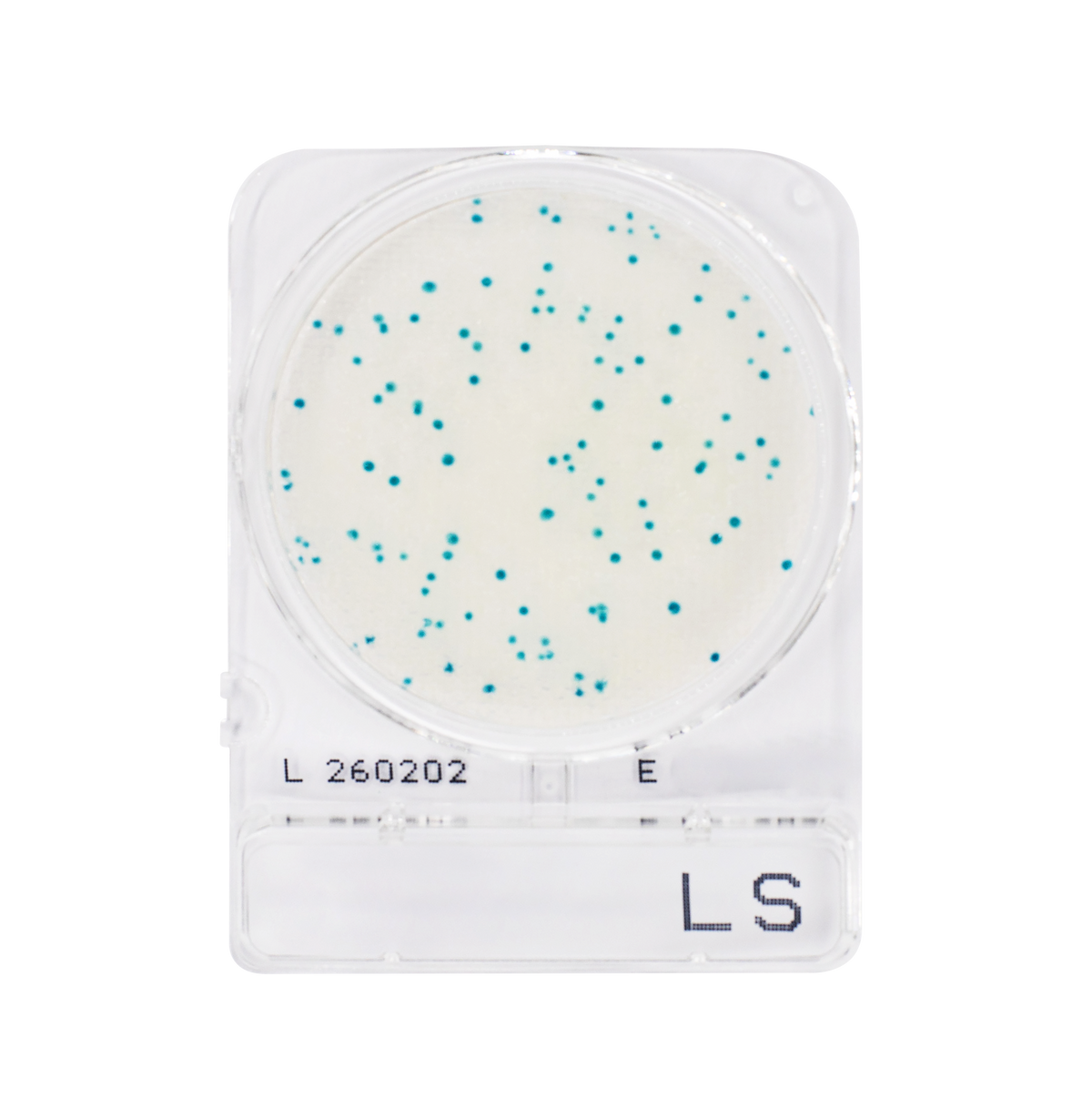 Compact Dry Disk Method Compact Dry – Advanced Food Diagnostics