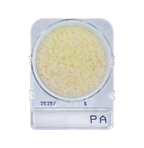 Compact Dry PA | Pseudomonas aeruginosa
