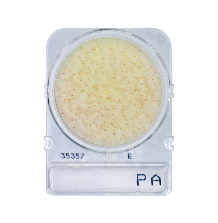 Compact Dry PA | Pseudomonas aeruginosa