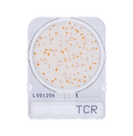 Compact Dry TCR | Total Aerobic Count - Rapid
