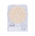 Compact Dry TC | Total Aerobic Count