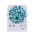 Compact Dry YM | Yeast and Mold