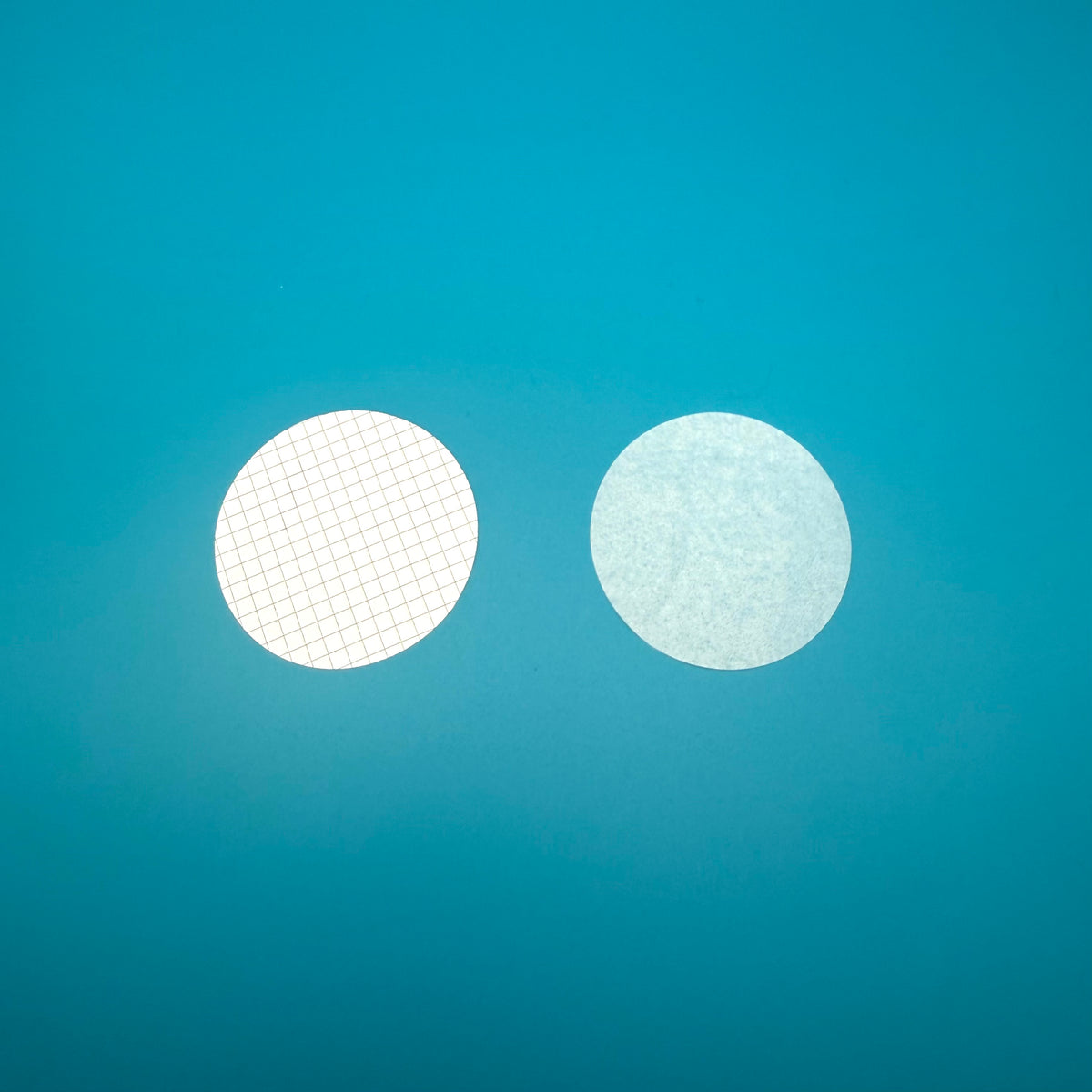MCE Gridded Membrane Filters, 0.45 µm, 47 mm, White, Sterile (Box of 100)