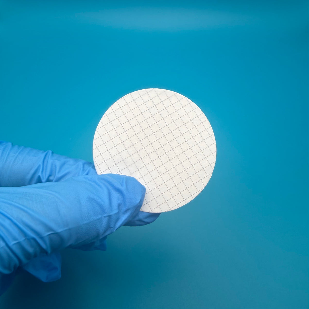MCE Gridded Membrane Filters, 0.45 µm, 47 mm, White, Sterile (Box of 100)