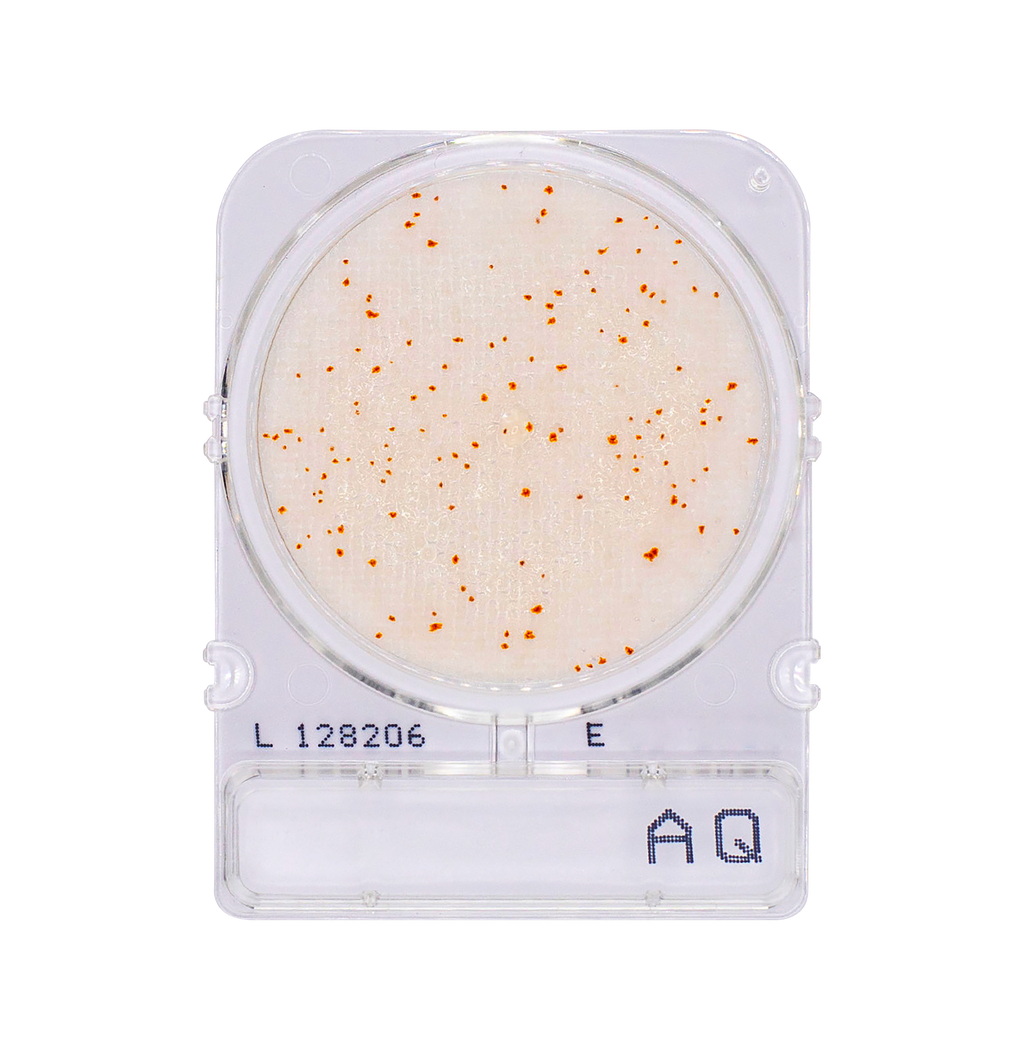 Compact Dry AQ | Heterotrophic Bacteria