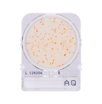 Compact Dry AQ | Heterotrophic Bacteria