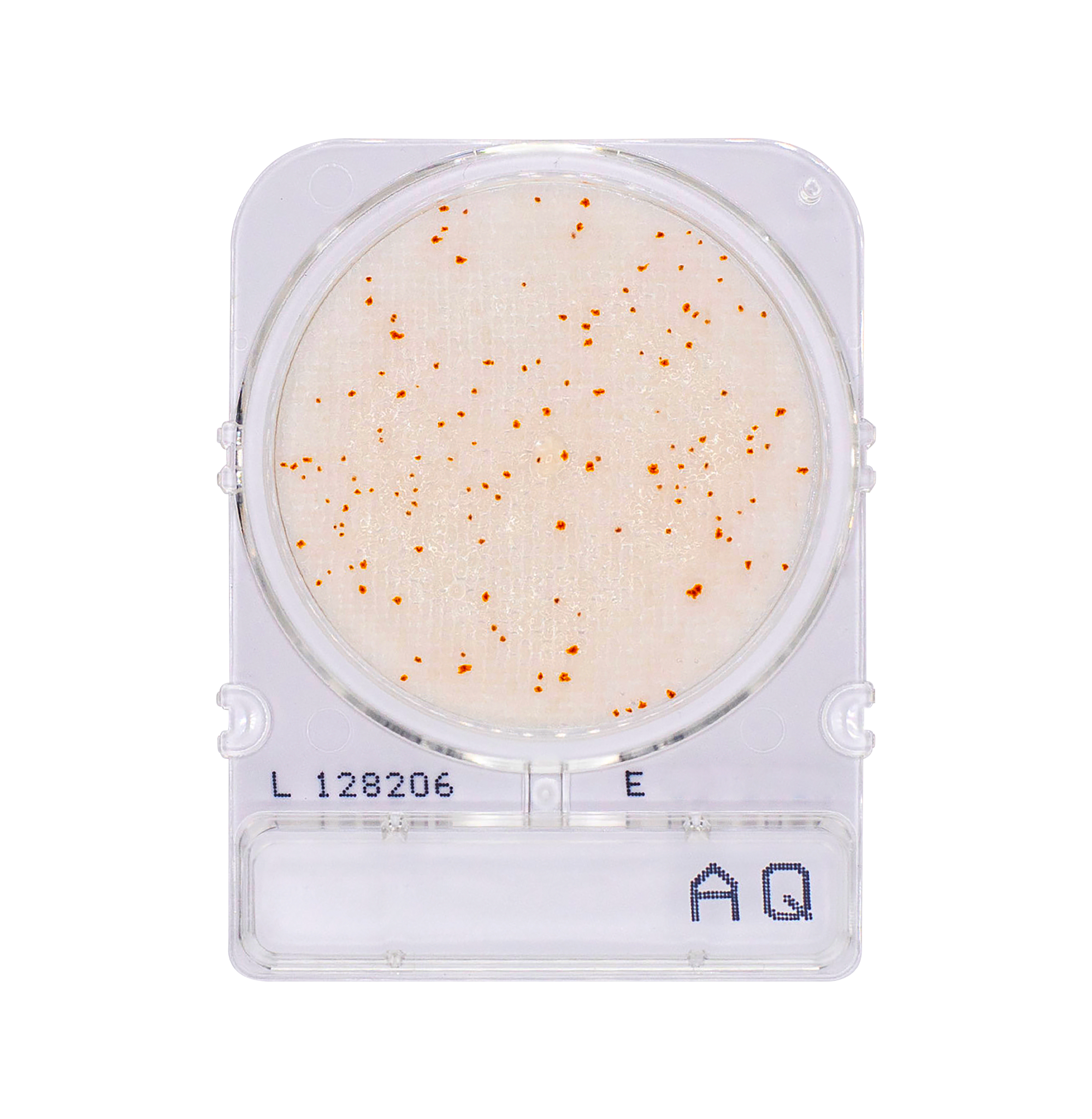 Compact Dry AQ | Heterotrophic Bacteria