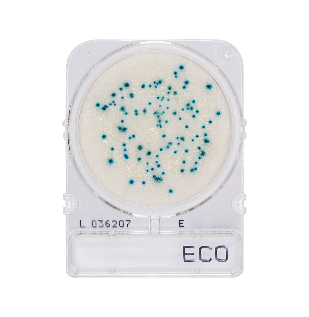 Compact Dry ECO | E. Coli