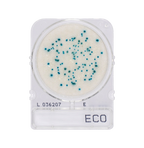 Compact Dry ECO | E. Coli