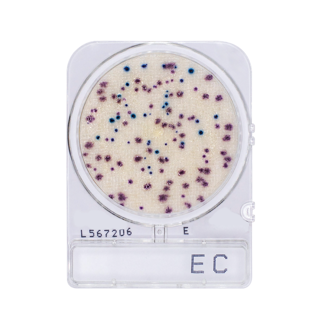 Compact Dry EC | E. Coli and Coliform