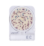 Compact Dry EC | E. Coli and Coliform