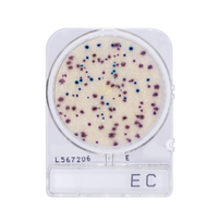 Compact Dry EC | E. Coli and Coliform