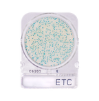 Compact Dry ETC | Enterococci