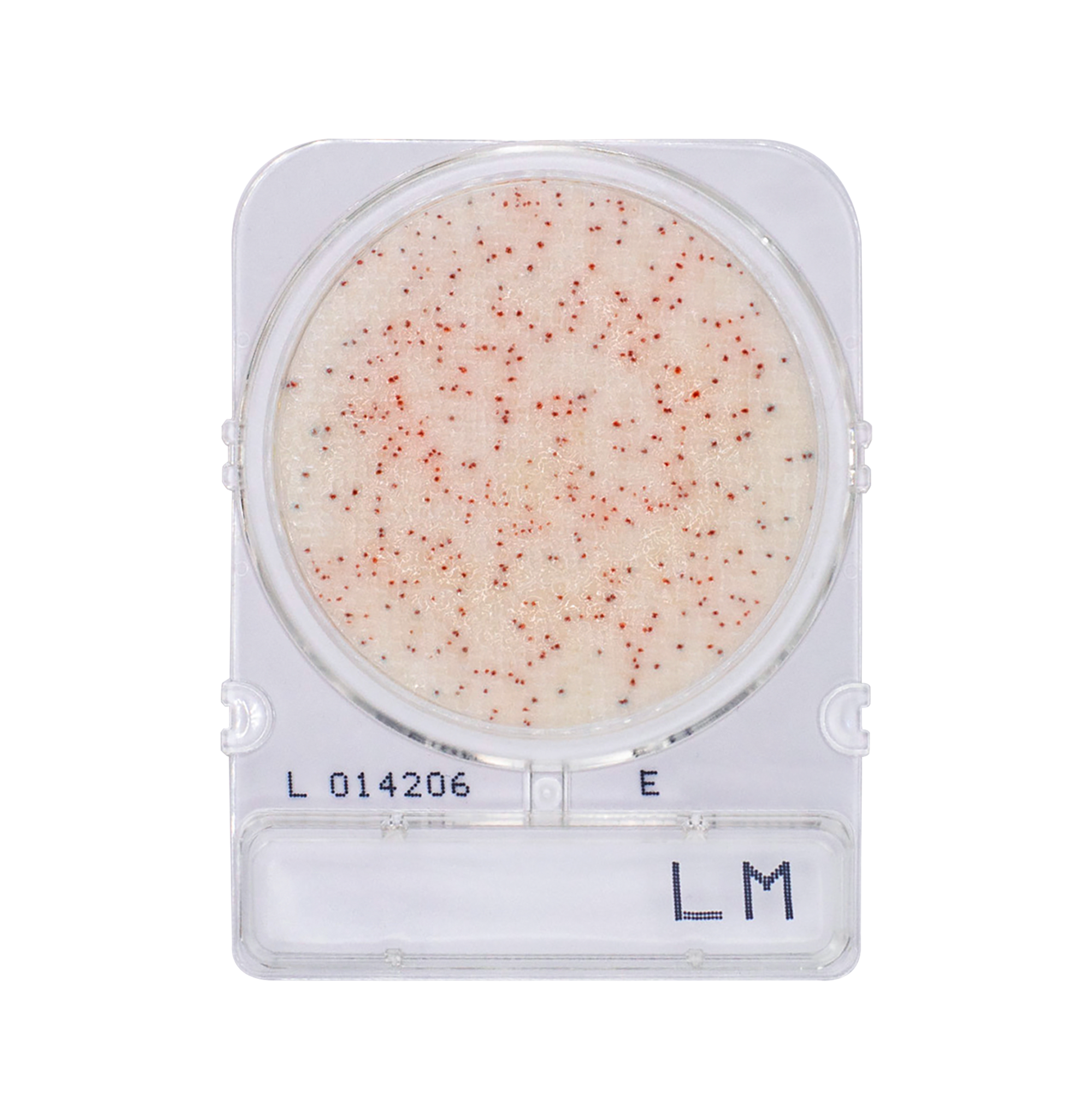 Compact Dry LM | Listeria monocytogenes