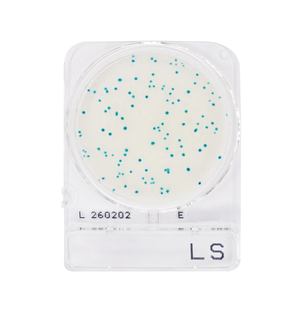 Compact Dry LS | Listeria spp