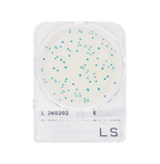 Compact Dry LS | Listeria spp