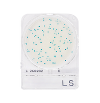 Compact Dry LS | Listeria spp