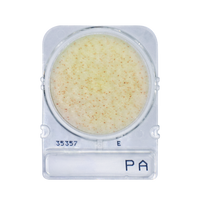 Compact Dry PA | Pseudomonas aeruginosa