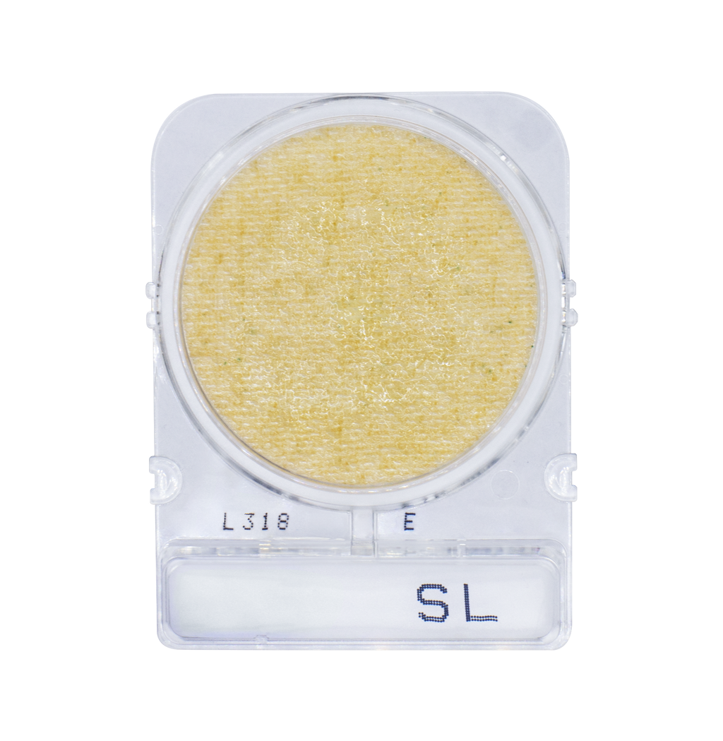 Compact Dry SL | Salmonella