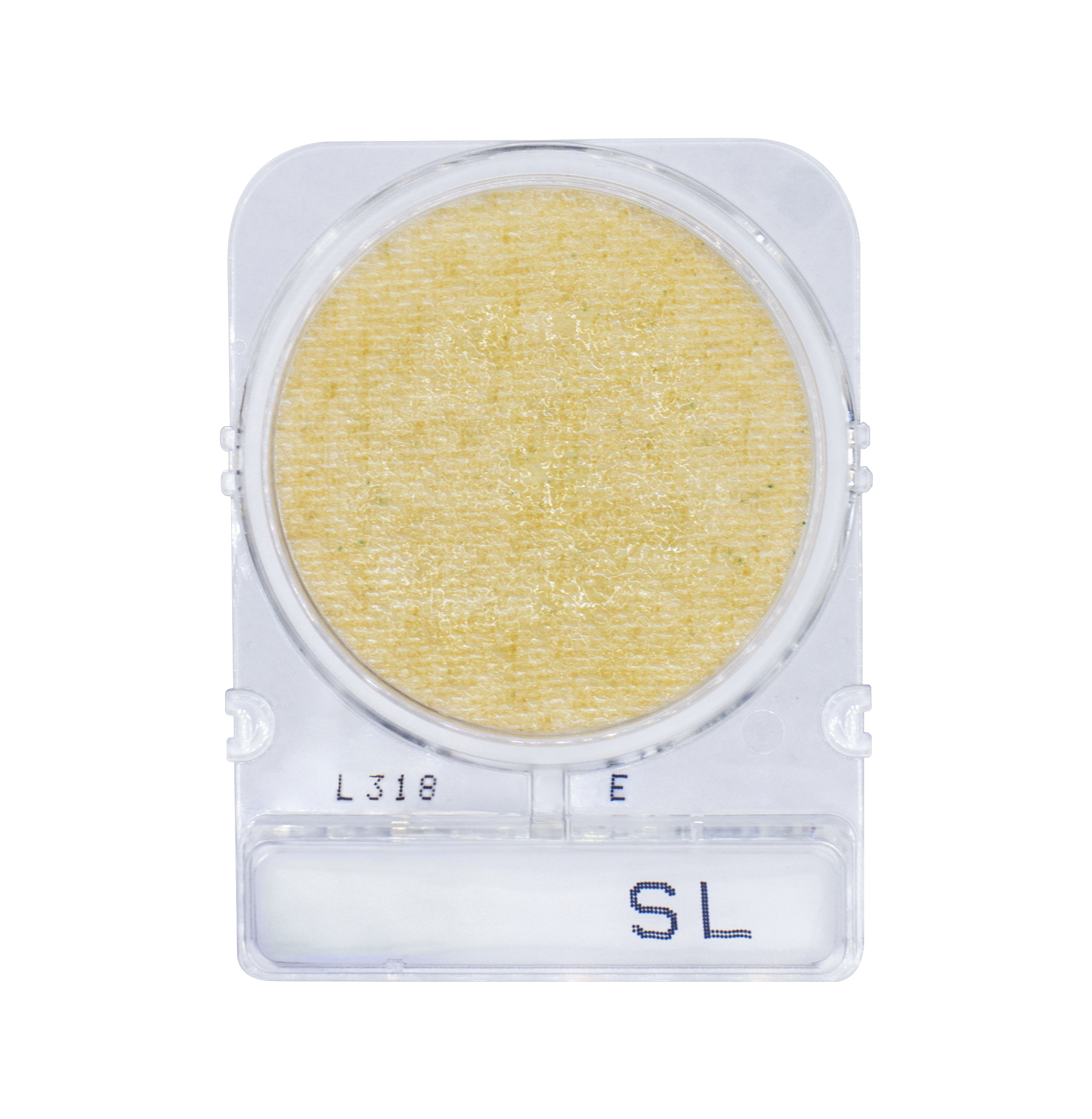 Compact Dry SL | Salmonella