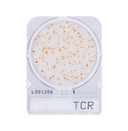Compact Dry TCR | Total Aerobic Count - Rapid