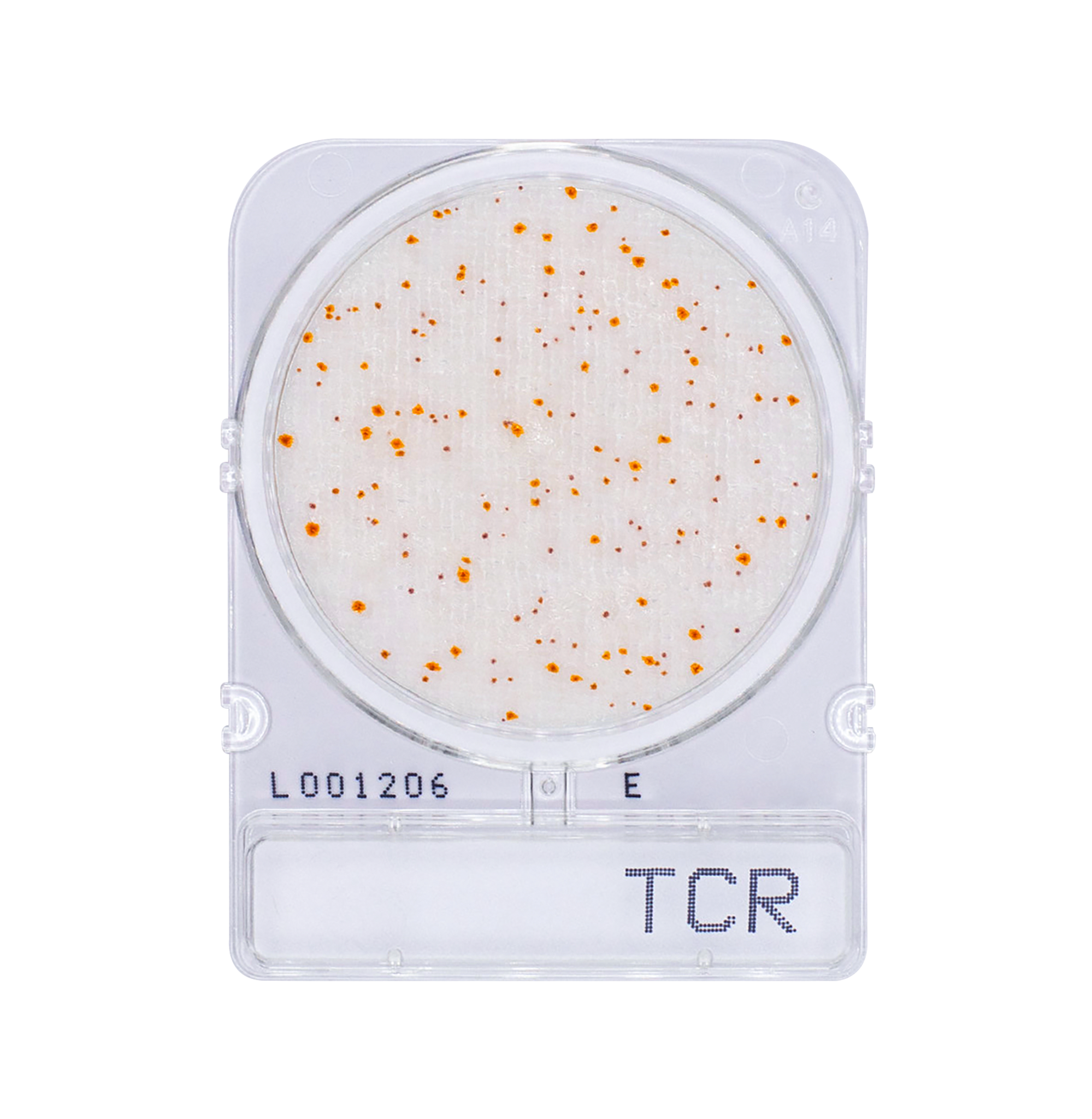 Compact Dry TCR | Total Aerobic Count - Rapid