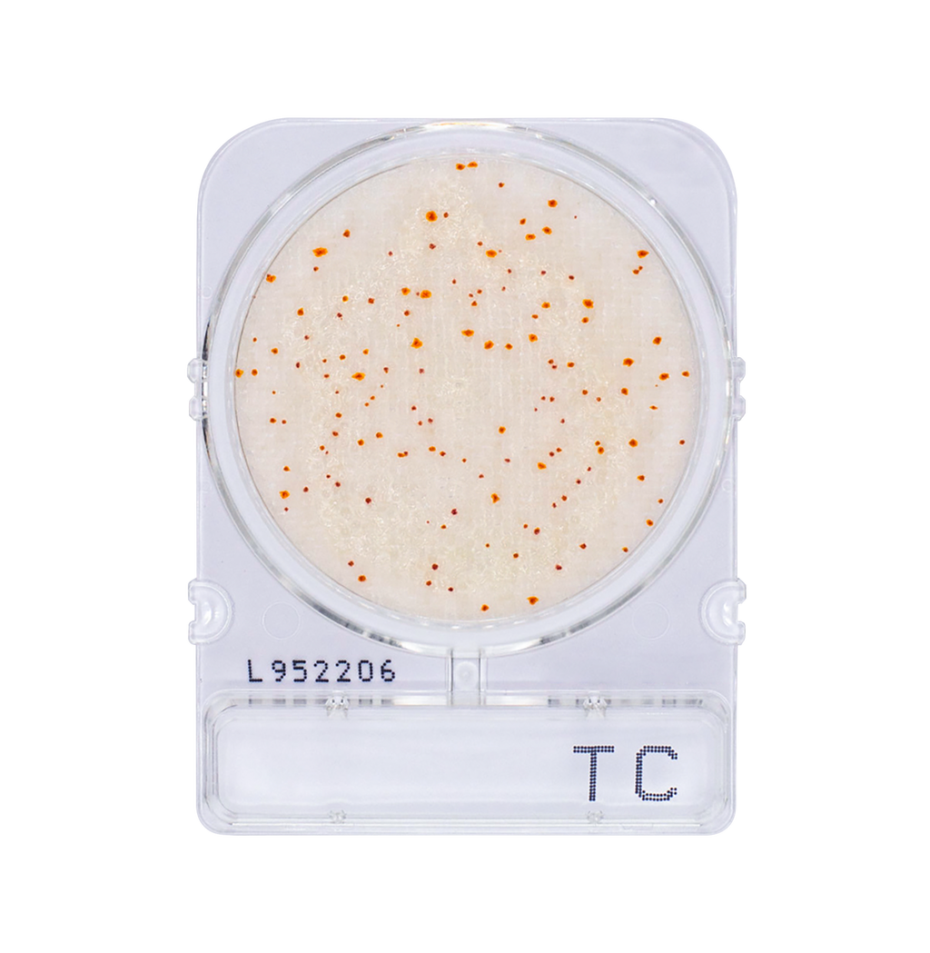 Compact Dry TC | Total Aerobic Count