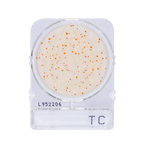 Compact Dry TC | Total Aerobic Count