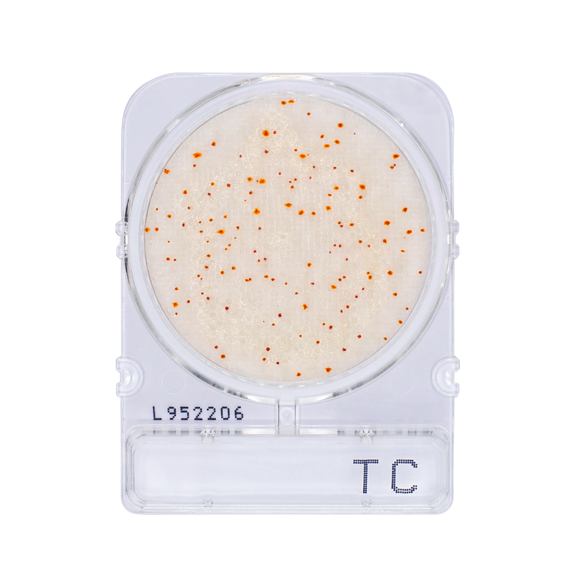 Compact Dry TC | Total Aerobic Count